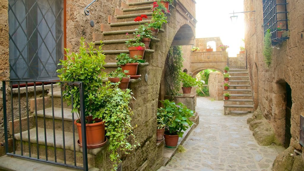 Bagnoregio que incluye flores