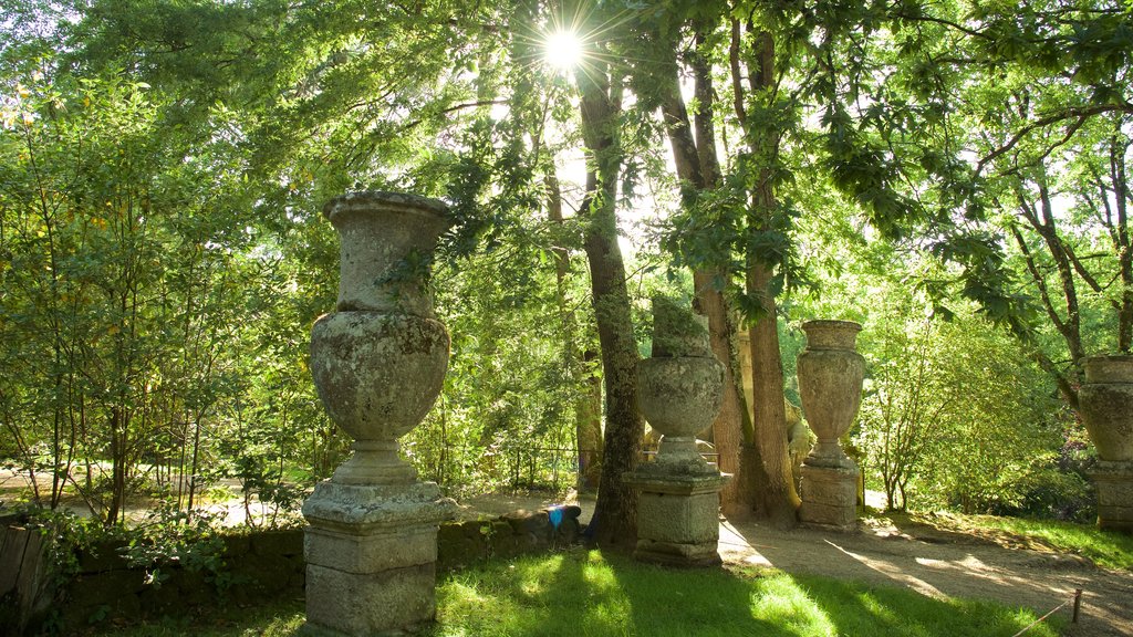 Parco dei Mostri featuring forest scenes