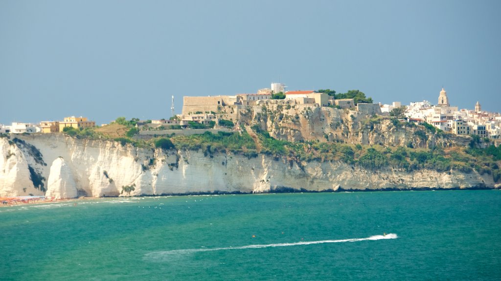 Vieste showing rocky coastline