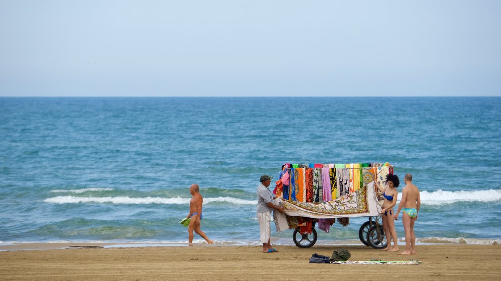 Vieste que incluye una playa y vistas generales de la costa