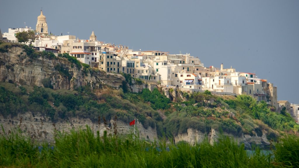 Vieste featuring a city