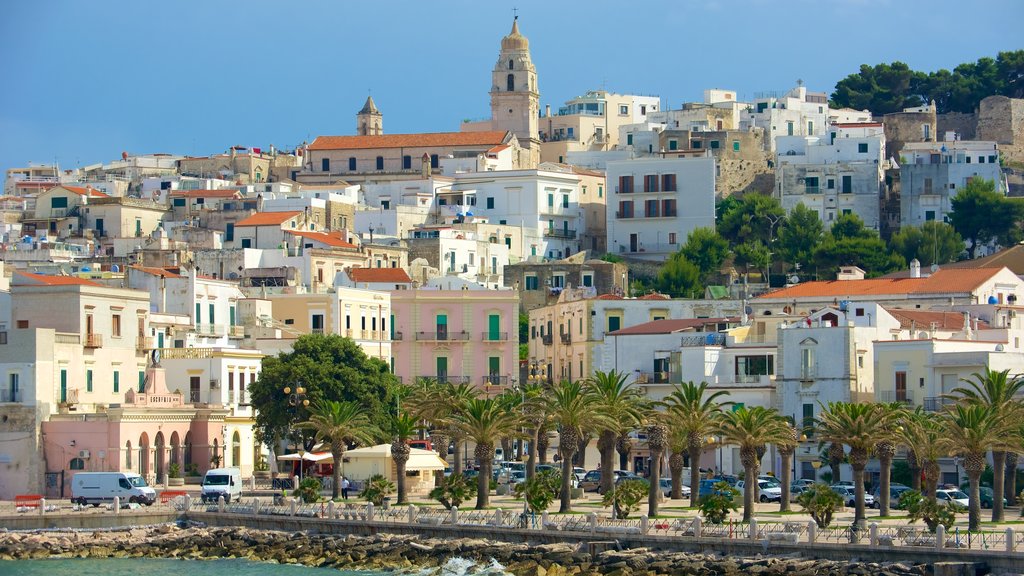 Vieste showing a city