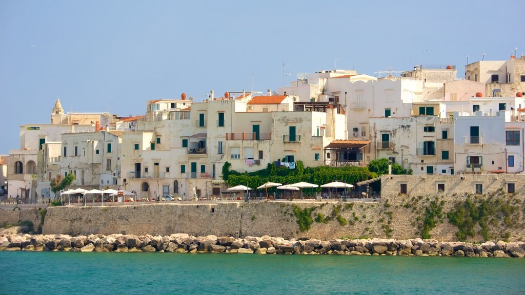 Vieste caracterizando litoral rochoso e uma cidade litorânea