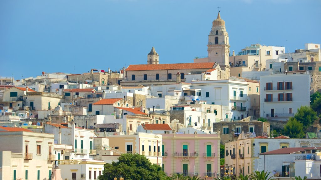 Vieste mostrando una ciudad