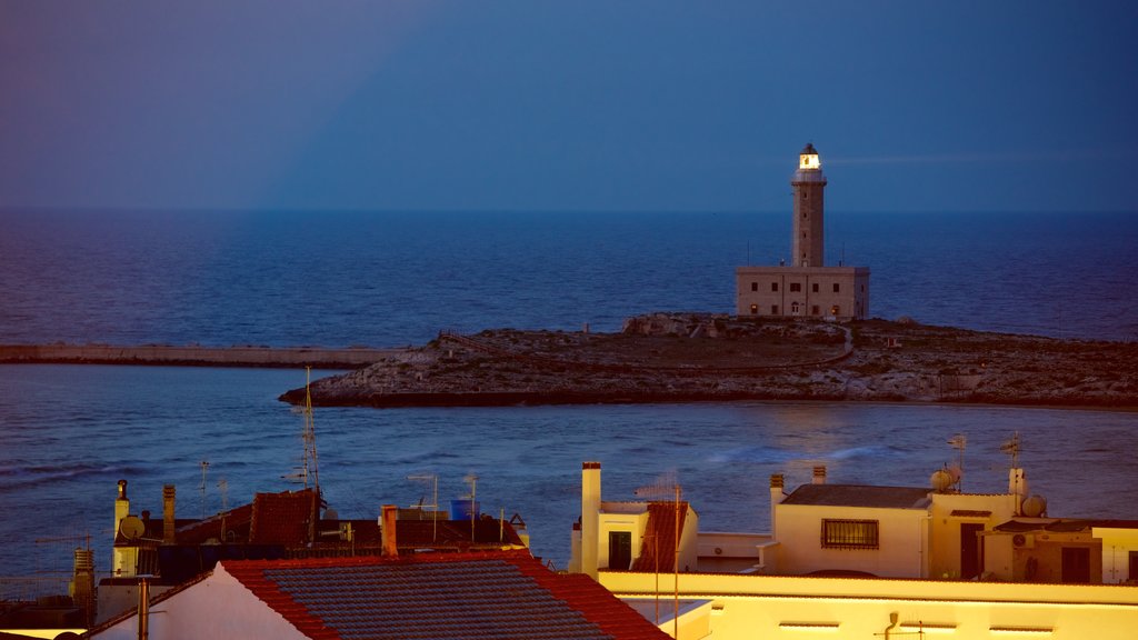 Vieste featuring a lighthouse and night scenes