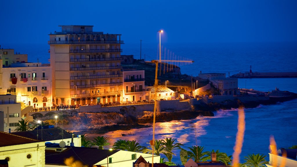 Vieste featuring night scenes and rocky coastline