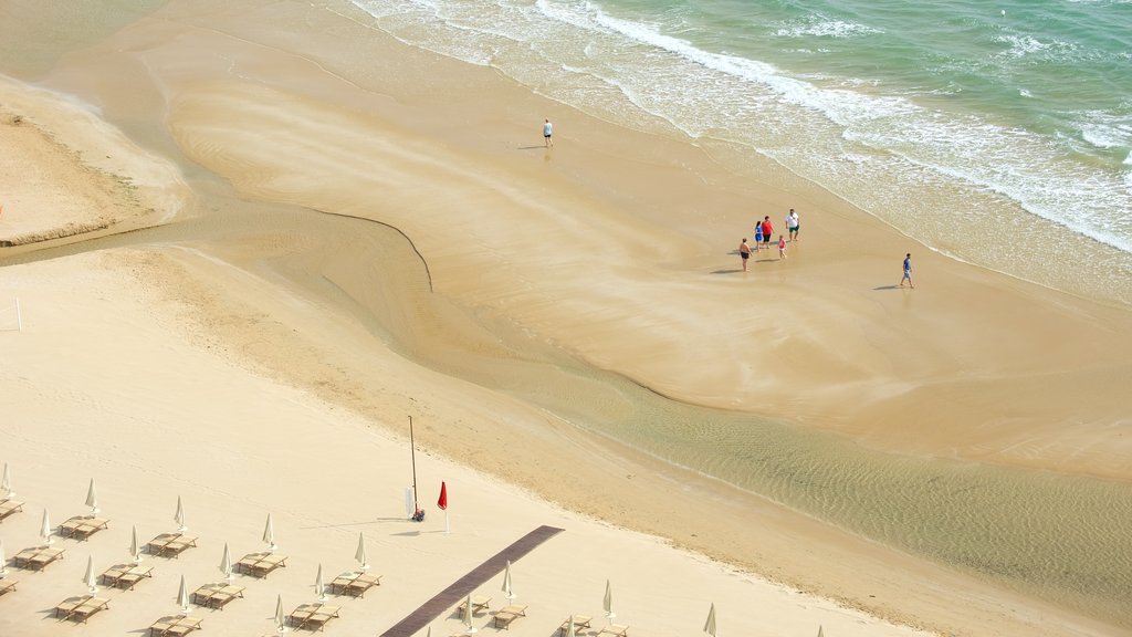 Vieste caracterizando uma praia de areia e paisagens litorâneas