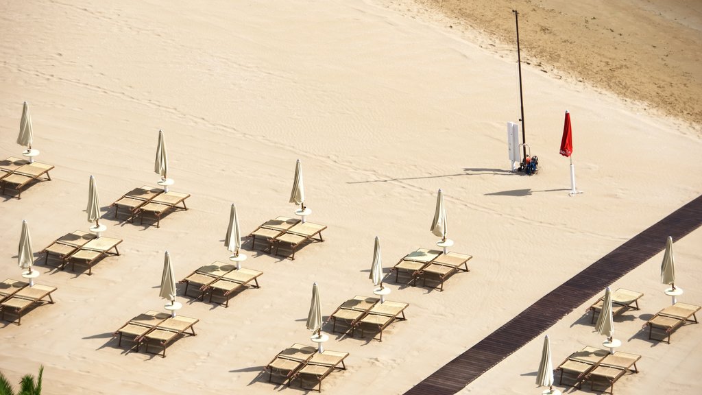 Vieste featuring a sandy beach