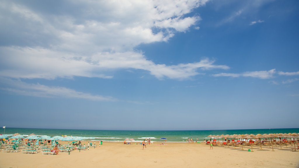 Vieste toont een strand en algemene kustgezichten