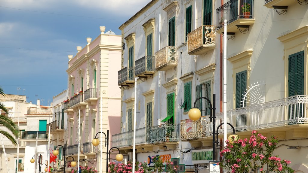 Vieste which includes heritage architecture