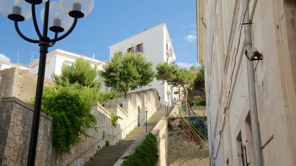 Vieste featuring heritage architecture