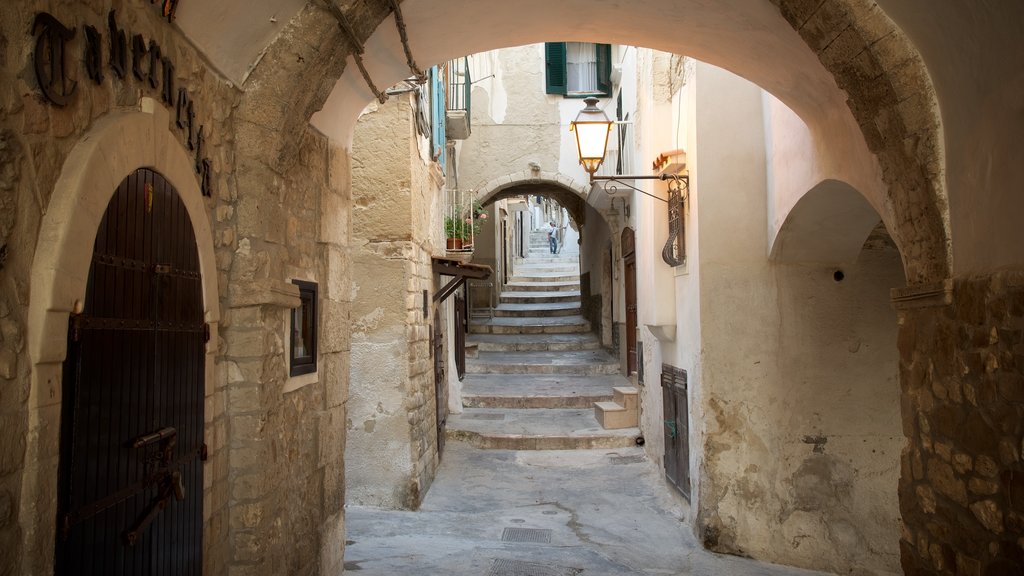 Vieste showing heritage architecture