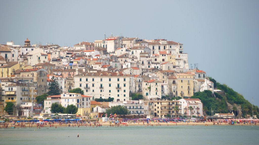 Rodi Garganico mostrando vistas de una costa y una ciudad