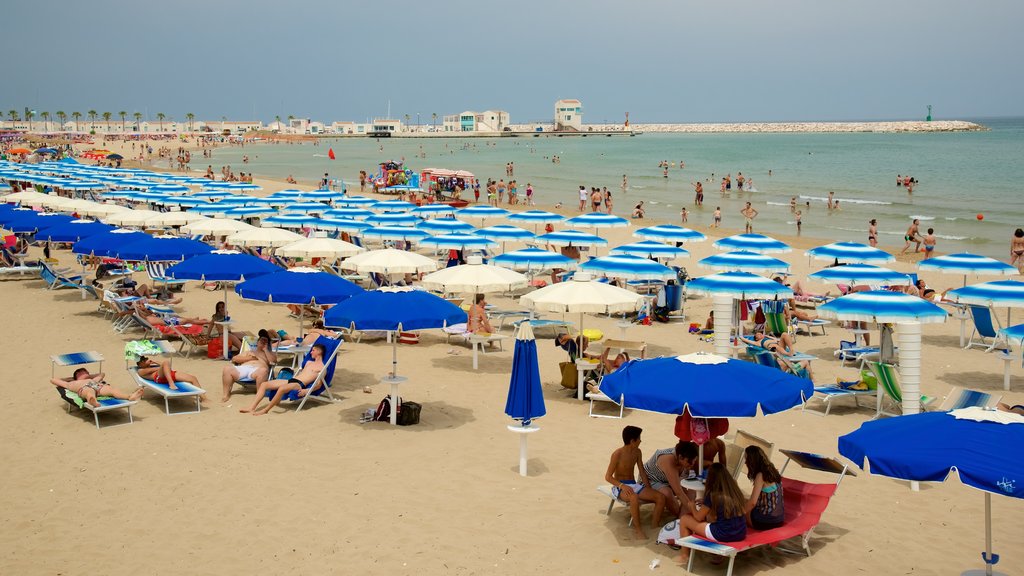 Rodi Garganico que incluye vista general a la costa y una playa y también un gran grupo de personas