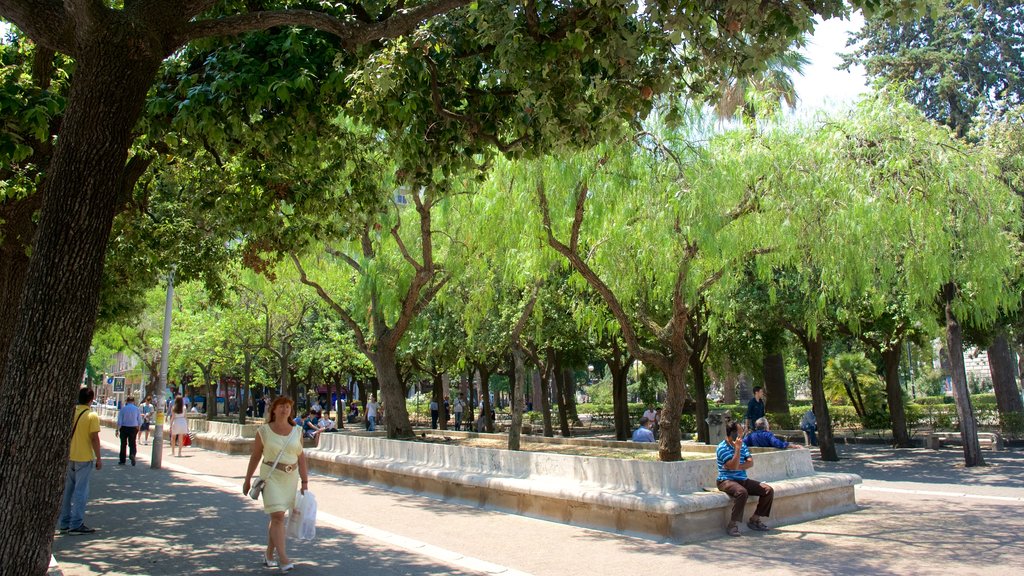 Bari mostrando un parque