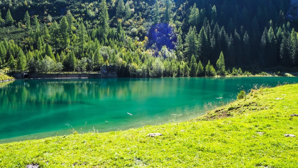 Der Schlierersee - ein Traum in grün.