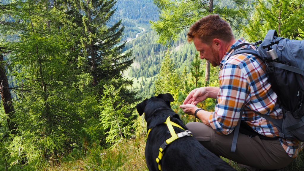 Interessierte Wanderer beim Preiselbeer Sammeln im Wald