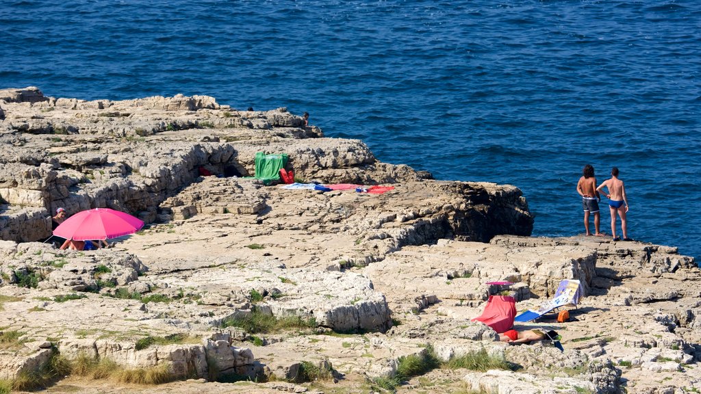 Polignano a Mare que incluye costa rocosa