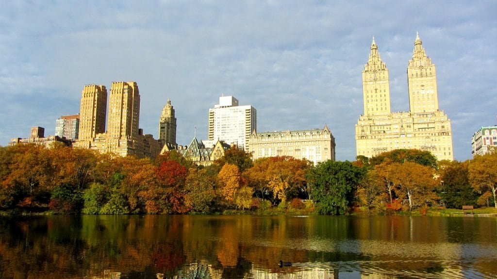 Central Park in New York