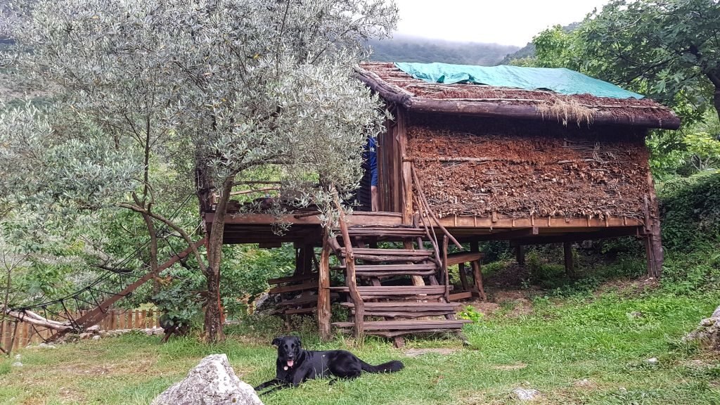 Baumhaus in Montenegro