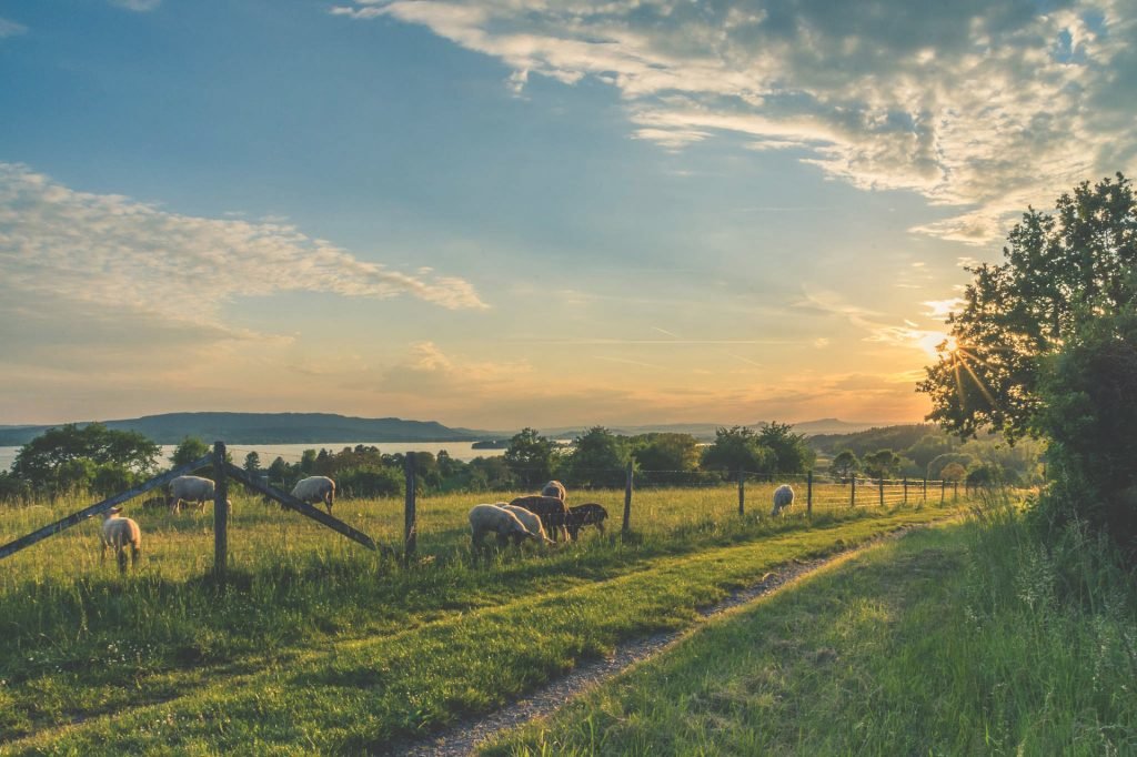 Rundweg am Bodensee in Konstanz