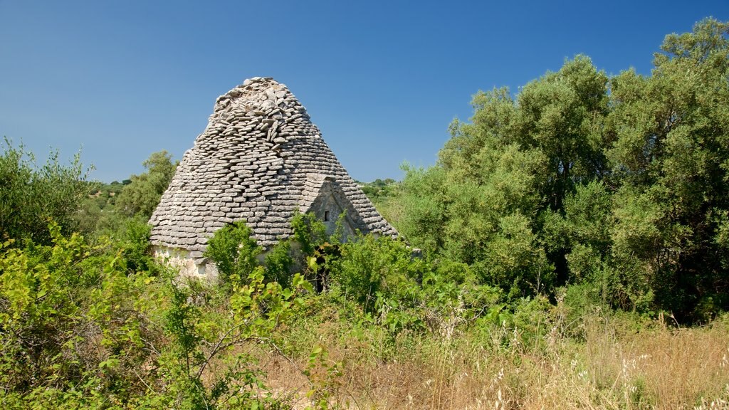 Brindisi