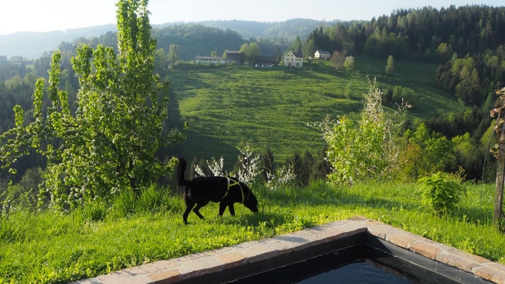 Hundefreundliche Ferienhäuser in der Steiermark