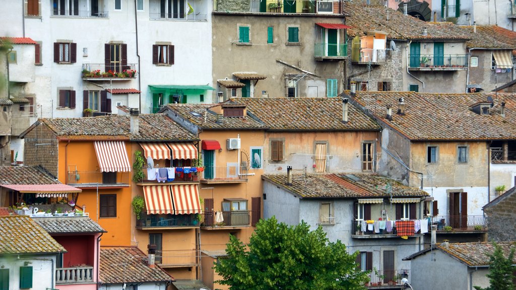 Soriano nel Cimino showing a city and heritage architecture