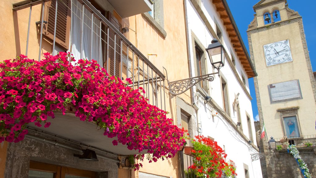 Vitorchiano toont bloemen en historische architectuur