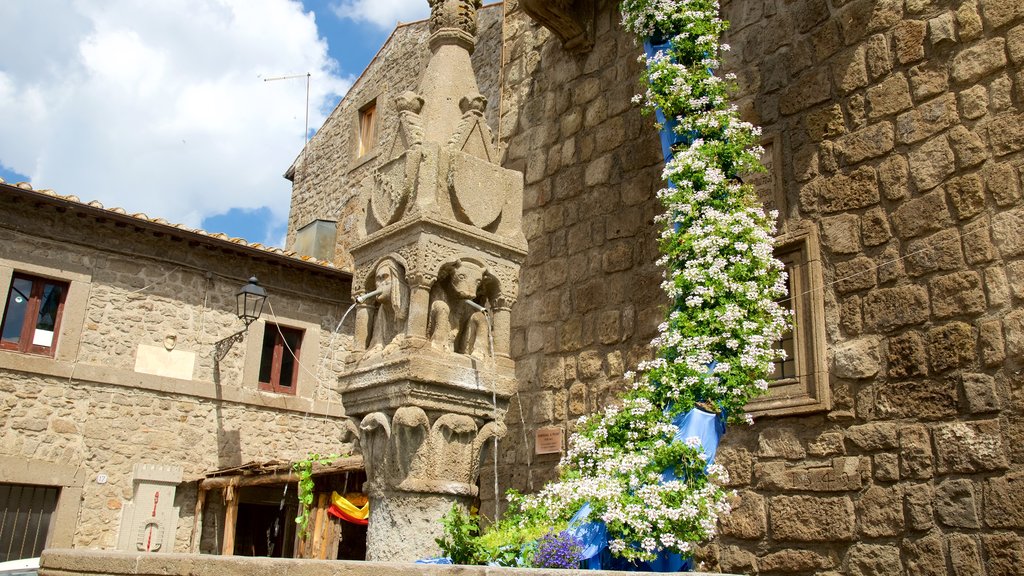 Vitorchiano showing a fountain and flowers