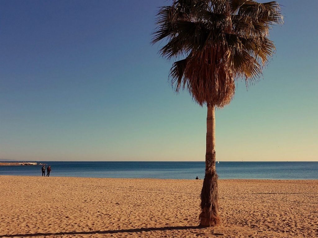 Platja de la Barceloneta in Barcelona