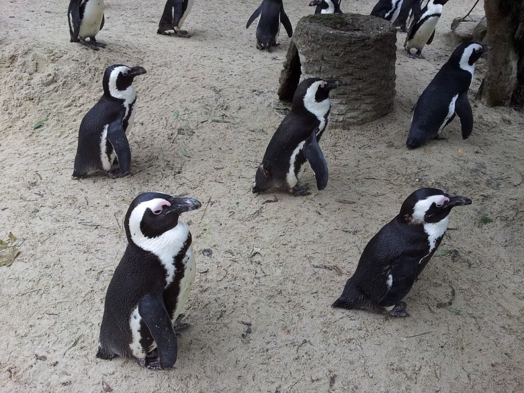 Zoo in Münster
