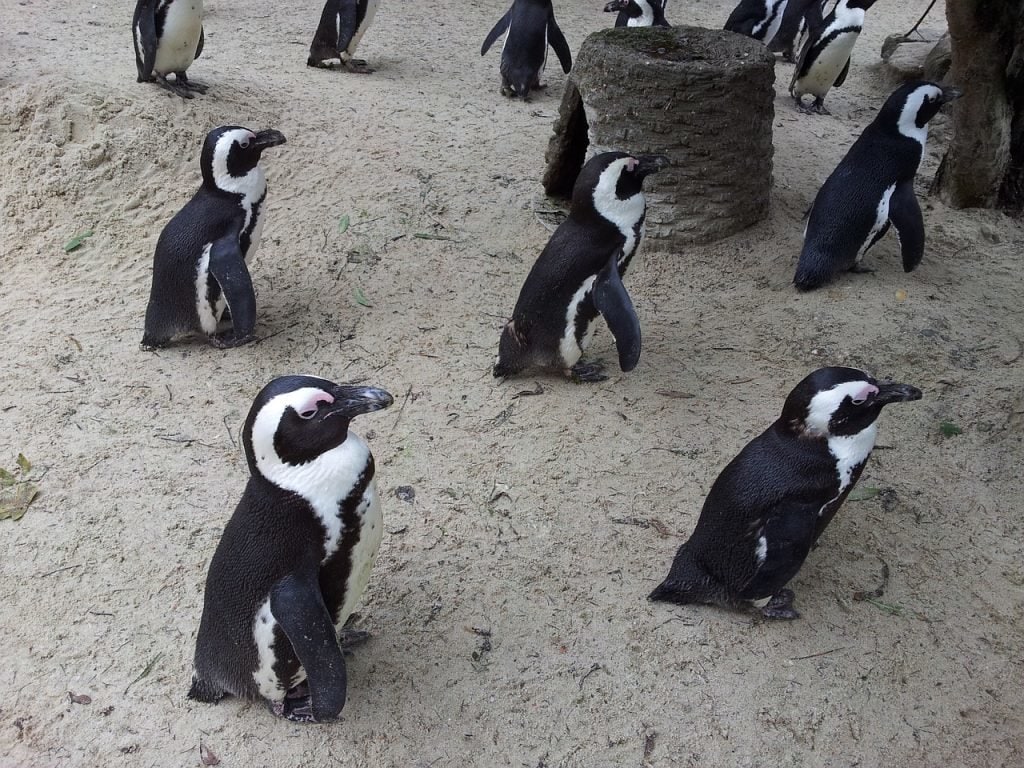 Zoo in Münster