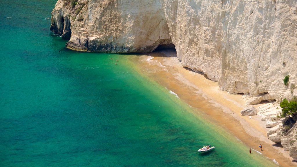 Gargano Peninsula showing a sandy beach and general coastal views