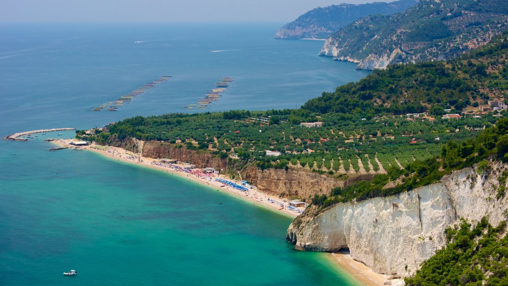 Península Gargano ofreciendo vistas generales de la costa y una playa de arena