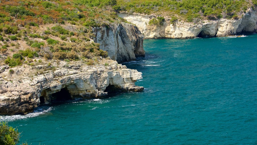 Península Gargano que incluye costa rocosa