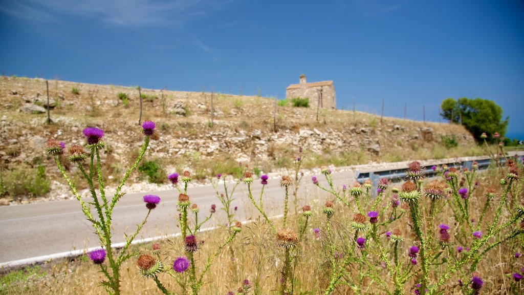 Península Gargano ofreciendo flores