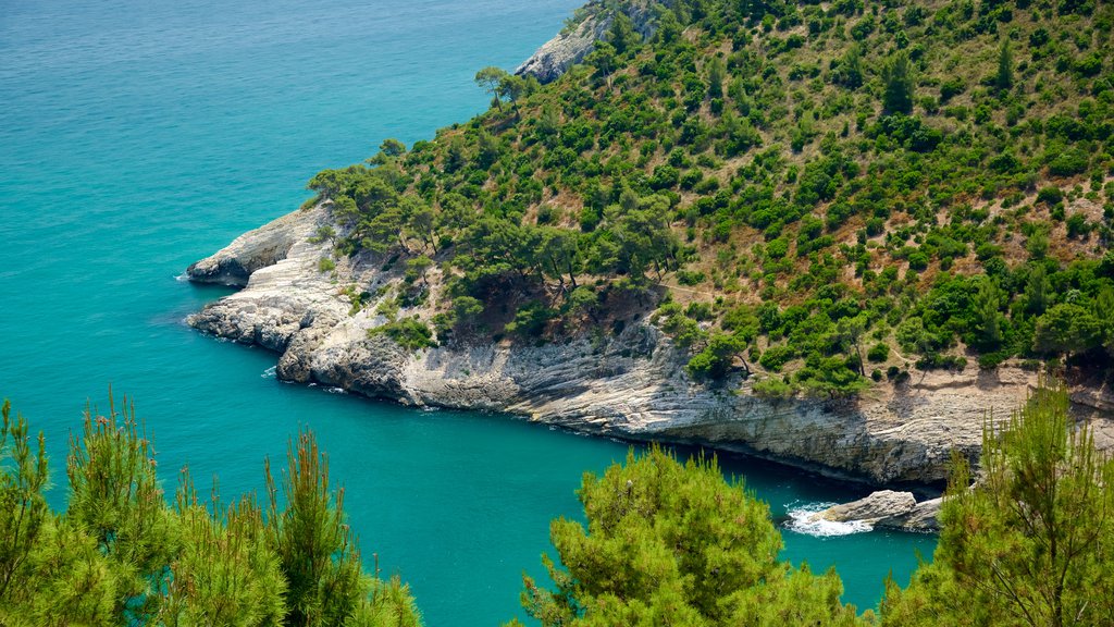 Península Gargano mostrando costa escarpada