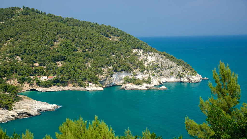 Península Gargano ofreciendo costa rocosa