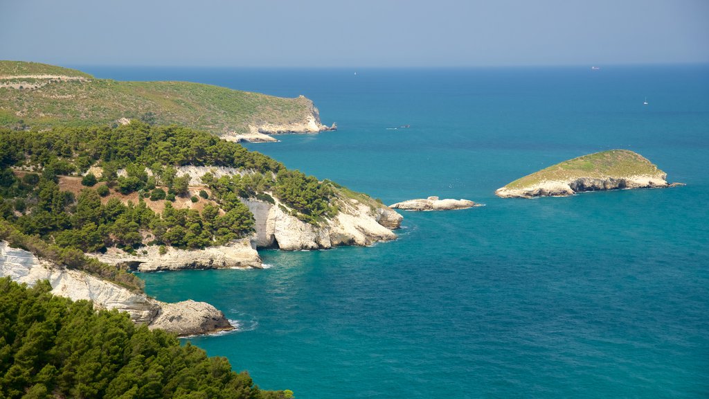 Gargano Peninsula showing rugged coastline