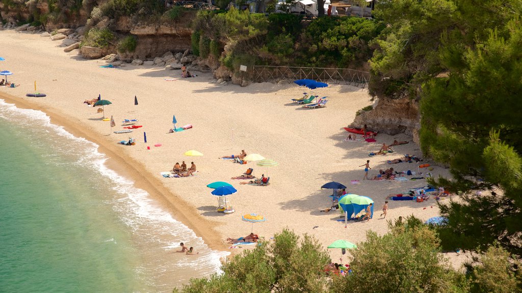 Gargano Peninsula mostrando paisagens litorâneas e uma praia de areia assim como um grande grupo de pessoas