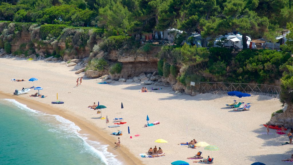 Península Gargano ofreciendo una playa de arena y vistas generales de la costa y también un gran grupo de personas