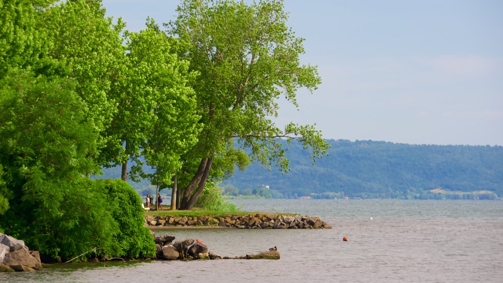 Lago Bolsena que inclui um lago ou charco