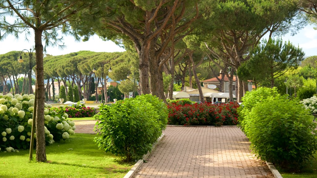 Lago de Bolsena ofreciendo un parque