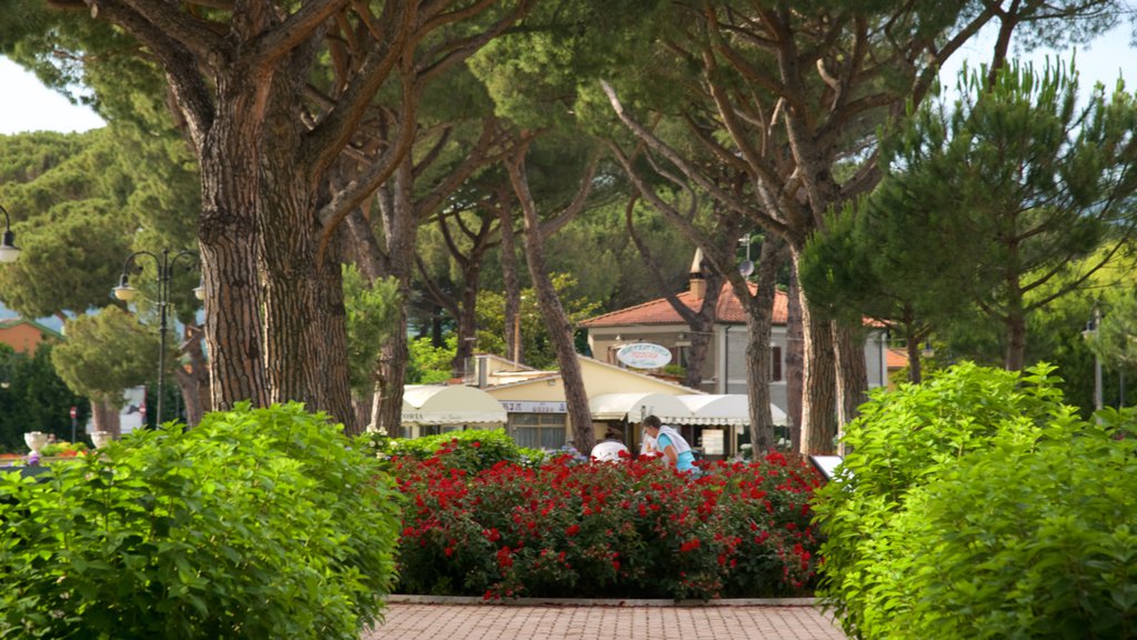 Lago de Bolsena mostrando un parque