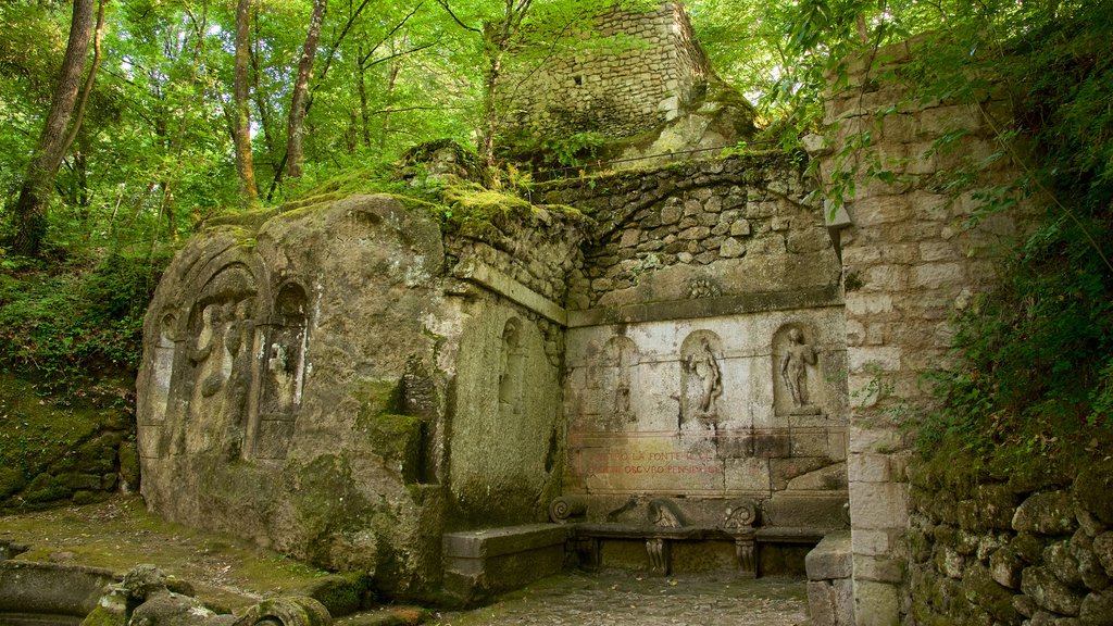 Parco dei Mostri mostrando patrimonio de arquitectura y selva