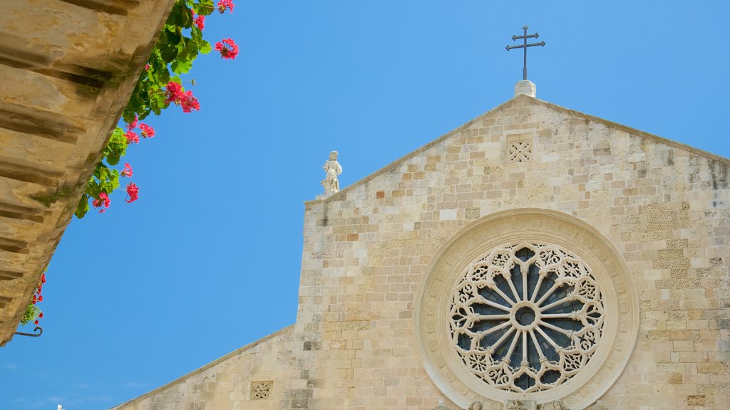 Catedral de Otranto mostrando una iglesia o catedral, patrimonio de arquitectura y elementos religiosos