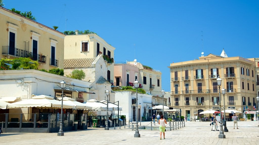 Piazza del Ferrarese which includes heritage architecture