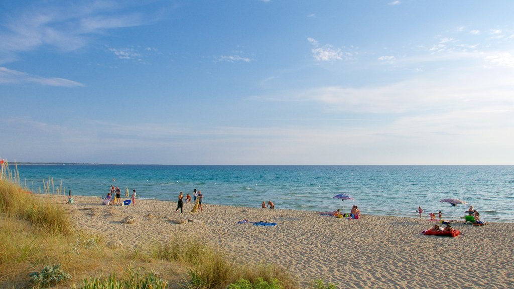 Playa Baia Verde que incluye una playa y vistas generales de la costa y también un gran grupo de personas