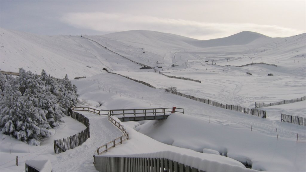 Cairgorn Ski Resort que incluye nieve